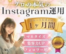 限定10枠！プロが本気のインスタ運用をします 1ヶ月間/完全丸投げOK！あなたのSNS運用担当者になります イメージ1
