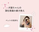 お試し用/アニマルコミュニケーションします その行動、ちゃんと理由があります。動物さんの気持ち聞きます。 イメージ2