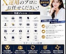 X 運用代行 (1ヶ月3,000円)でできます あなたの想いを、伝わる発信へ。 イメージ3