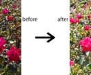 本業のプロが⭐️スマホの写真⭐️をキレイにします ⭐️たった1枚から⭐️OK‼️ イメージ2