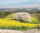 心理カウンセラーが貴方を全力で褒めて褒めて褒めます 貴方は十分頑張ってる！心理のプロが心と気持ちを明るくします！ イメージ1