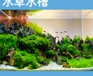 事業所へのアクアリウム導入･管理をサポートします 水中環境の安定まで3ヶ月伴走＆追加料金無しで安心です！ イメージ3
