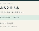 お店の紹介用SNS文章を5本作成します メモから投稿文へ。各150〜250字・修正1回 イメージ1