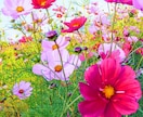 ダイエットの為に体質を4つのタイプに診断します 太ってしまう原因を知り、ダイエットをはじめてみませんか？ イメージ9