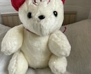 ぬいぐるみ制作致します オリジナルぬいぐるみ制作します イメージ3