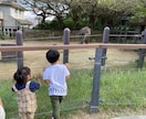 どんな相談でも承ります 人、仕事、お金、恋愛なんでもご相談ください！ イメージ4