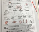 管理栄養士国家資格の受かる勉強方法教えます 100%合格を出した勉強法やれば受かる！ イメージ2