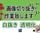 画像切り抜き致します ■画像の一部使いたい・余計な背景を消したい方お手伝い致します イメージ1
