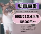 動画編集いたします あなたの動画をもっと面白く！可愛く！かっこよく！ イメージ1