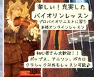 バイオリンをあなたの趣味にします 初心者大歓迎楽しいバイオリンレッスン イメージ1