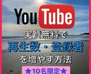 予算0円！YouTube SNSの登録数増やします 必見！YouTube、各種SNSにも対応。10名限定セール中 イメージ1