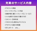 Instagram運用 丸投げ1ヶ月代行します 戦略設計・投稿作成・DM対応・月次レポートまで イメージ2