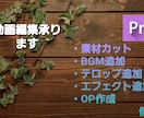 youtube等の動画編集・テロップ入れ承ります ご希望の動画となるよう修正料金何回でも無料 イメージ1