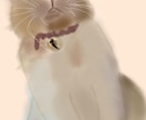 やさしい手描き風のペットイラスト描きます 大切なペットをふんわり可愛く描きます イメージ3