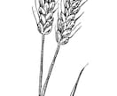 パンを中心にフード全般、線描きイラスト描きます 食材や調理器具等も臨機応変に対応いたします！ イメージ7