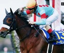 中央競馬の重賞で自信のある馬教えます 競馬歴10年で得た経験から渾身の自信ある馬紹介します!! イメージ1