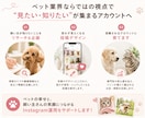 ペット業界特化のInstagram運用代行をします ペット業界に特化したInstagram運用をお任せください イメージ2