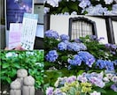 日常の些細な事、悩み、何でもお聞きします 心の中の((もやもや))をお話しください。 イメージ4