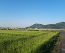 医療機関勤務の経験を活かしてお話伺います 人間関係、仕事、恋愛、家族、夫婦関係、子供、心の悩み何でも イメージ2