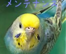 5分からOKフリートークします ちょっと人と話したい。なんか暇。どんなお話しでもOK5分～ イメージ4