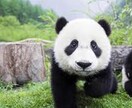 【SEO】貴社サイトの内部対策を行います。【PDFファイル】 イメージ1