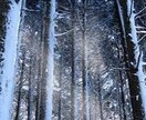 混ざり合う感情を静かに紐解きます 事前予約を歓迎いたします。心の色を拾い集める対話。 イメージ3
