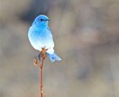 なんでも話聞きます あなたとの出逢いに感謝致します イメージ1