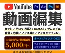 心を込めて動画編集をいたします Youtube/SNS/対談動画 等編集をします イメージ1