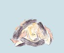 4月迄値下げ!表情のある食べ物イラストを描きます お店のメニュー!ショップカードに!写真よりほっこりイラスト イメージ7