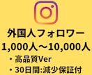 インスタの外国人フォロワー+1,000人増やします 【Instagram】外国人フォロワー(+1,000人)増加 イメージ1