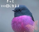 終わらない秘密の関係。とことんお話聞きます 2人の関係を何も知らないからこそ話せる話がある。 イメージ9