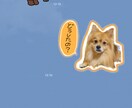 大切なペットやお子様のラインスタンプ作ります 初期出品により8個の値段で16個作成します！ イメージ3
