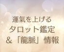 どんどん運がよくなります 数々の難を除けてきたあこがあなたの運氣upをお手伝いします！ イメージ1