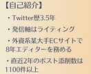 あなたのポストを「伝わる文章」に生まれ変わらせます あなたが書いた渾身のポスト、「伝わる文章」になっていますか？ イメージ2