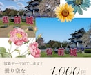 シンプル！曇り空を晴れ空にします 即日納品◎家族写真や大事な人とのツーショットを綺麗に残せます イメージ1