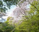 愚痴、雑談などお聞きします どんな事でもお話してください。 イメージ2