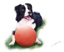 想いを乗せたイラストを描きます 飼い主さまの愛情をヒアリングし、イラストに生かします。 イメージ5