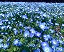 あなたのお話全力で聴いて寄り添います 接客経験10年以上のホスピタリティで貴方の心を軽くします✩* イメージ3