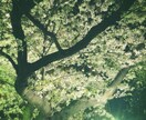 秘密厳守で苦しい、不安で悩んでいる方に寄り添います 社会人野球選手がポジティブ前向きに全力で向き合います。 イメージ1