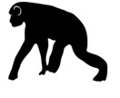 即日対応‼︎ あなたの想像をデザインします 想像している人、物、動物なんでもデザインします！ イメージ4