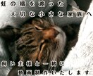 虹の橋を渡ったペット "想い出動画" つくります 「ありがとう。」　心に寄り添うナレーション。 イメージ2