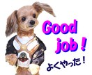 動画や静止画の編集をします 必要な所を繋ぎ合わせたり、音響や文字など入れられます。 イメージ9