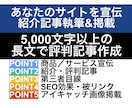 貴サイトを宣伝する長文紹介記事を執筆&掲載します 評判記事作成／5000文字以上保証／SEO・被リンク イメージ1