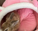 誰かに話したい夜にあなたの気持ち受け止めます もう一人で悩まないで辛い気持ち全部聞きます イメージ1
