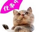 3種類ゲット★写真アイコン作ります デザインもご提案！ご自身やペットのアイコンを作りませんか？ イメージ5