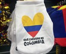 南米在住通訳が丁寧にスペイン語教えます 南米在住/日英西の通訳が、初心者〜上級者まで指導します。 イメージ1