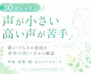 声が小さい・高い声が苦手｜ボイトレで改善します 初心者OK♪「なんだか歌いづらい…」その原因にアプローチ！ イメージ1