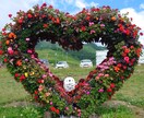 女性限定♥️ナイショ話にそっと寄り添います 失恋/片思い/パワハラ/夫婦問題/メンタル不安/婚活疲れ イメージ2