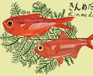 魚や魚介類の爽やかなイラストを描きます 爽やかな水彩タッチの海の生物のイラストいかがですか。 イメージ2