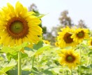 恋愛成就の伴走 その恋が叶わない理由を霊視します 恋が叶わない理由の先にある、あなたを幸せにする真実の鑑定 イメージ6